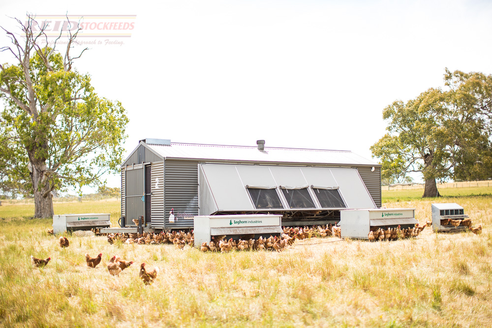 REID Phase Feeding Program | REID Stockfeeds Australia