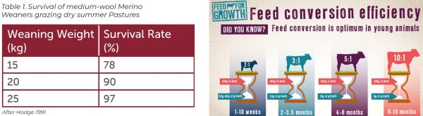 Feed Conversion Efficiency Table