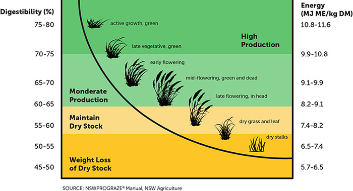 Digestibility Graph