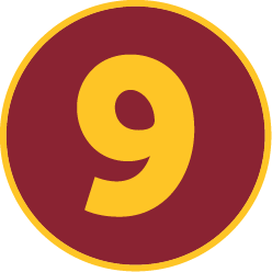 9 Number Icon