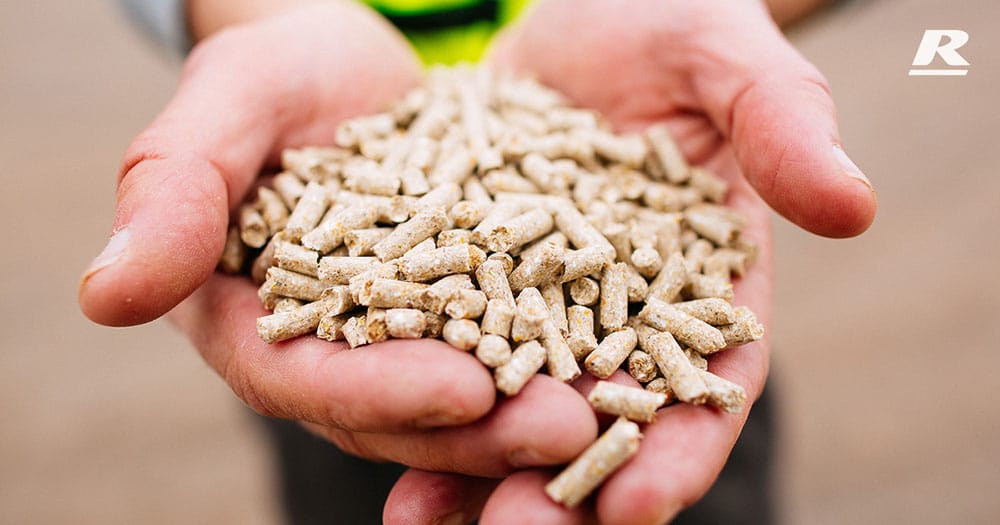 Feed Pellets Reid Stockfeeds