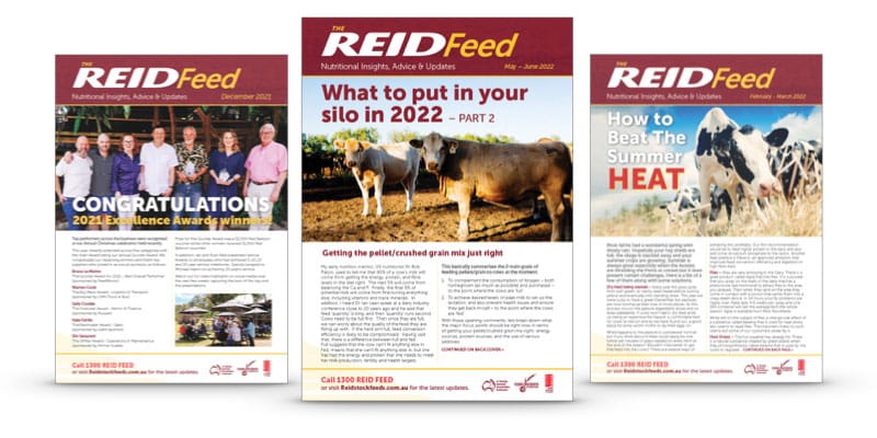 REID Feed Newsletters