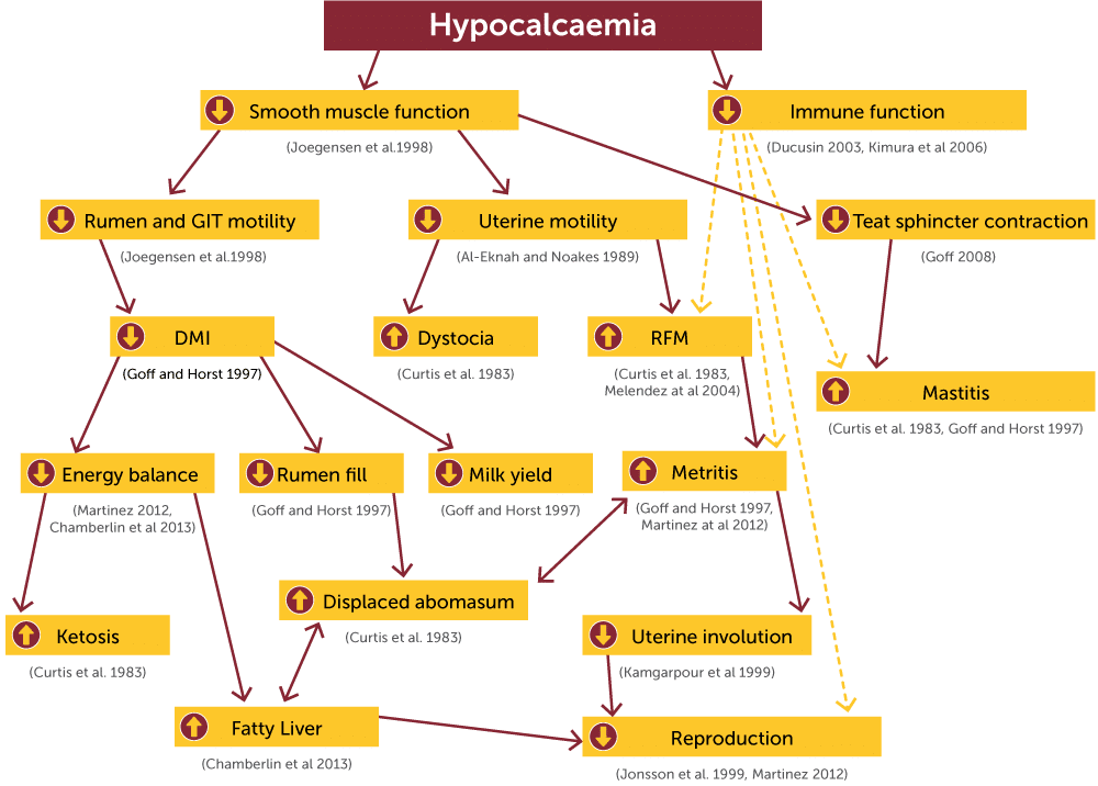 Hypocalcaemia