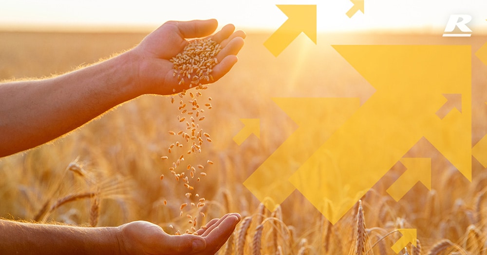 A man dropping grain on the hand at the farm