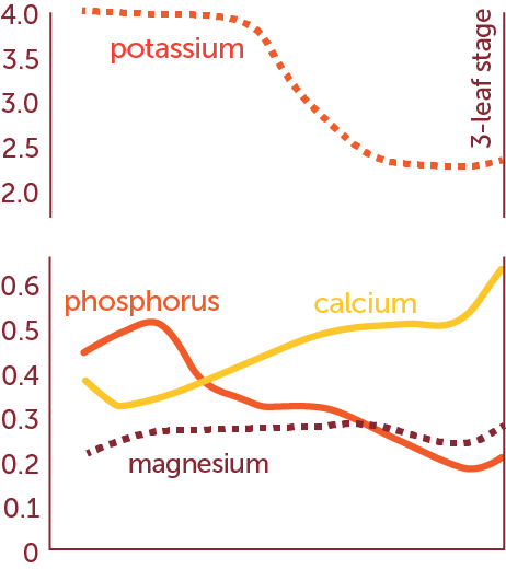 Minerals Chart