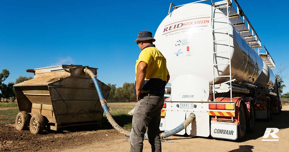 REID Stockfeeds Safe Access