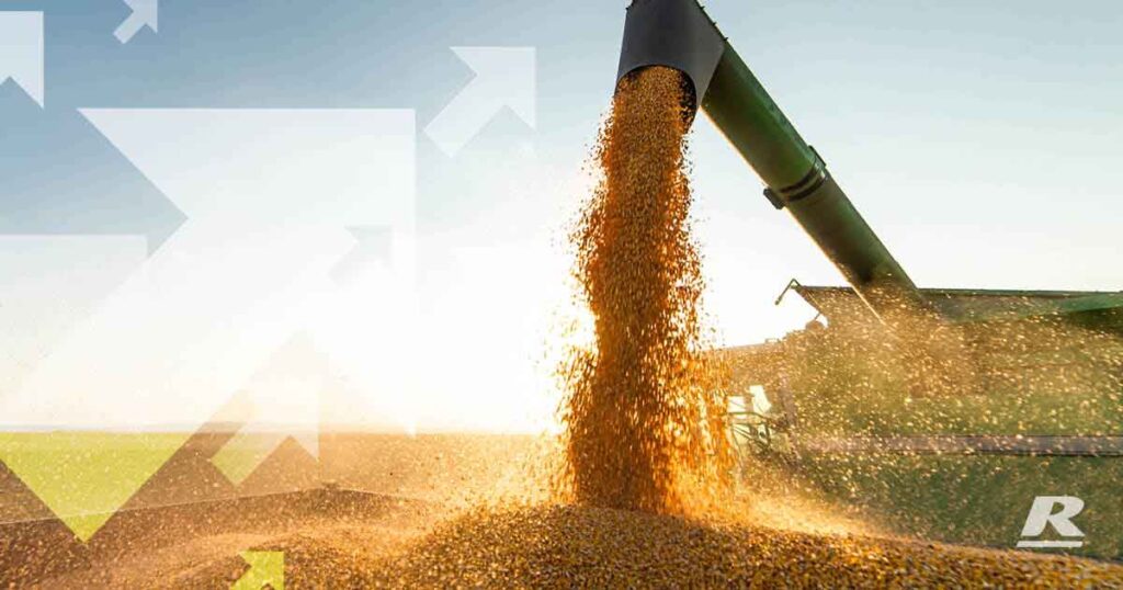 A Grain Pouring From A Machine Into A Pile Of Corn.