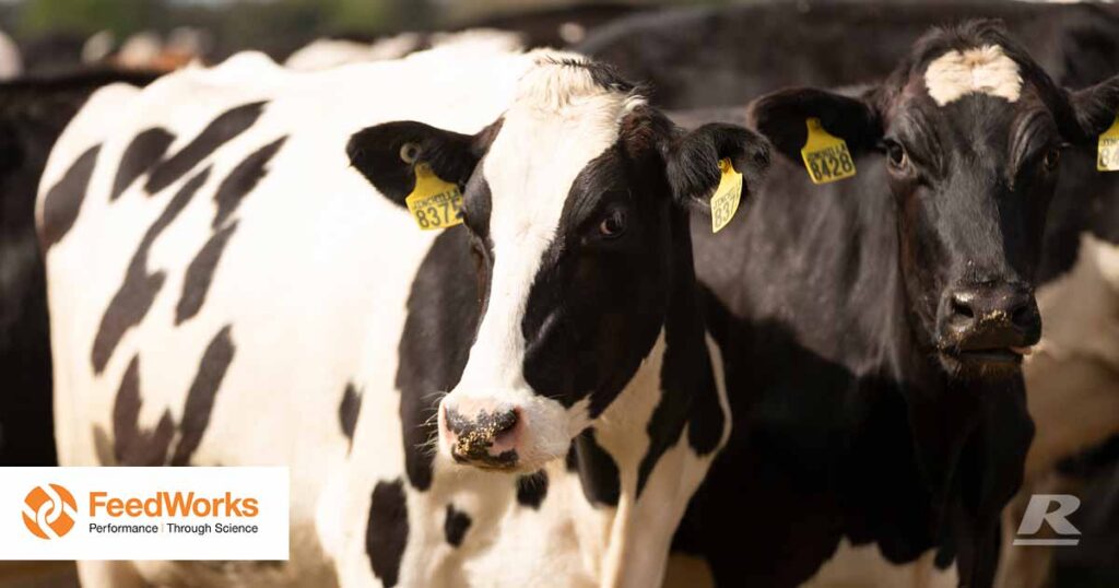 Ruminal Acidosis (SARA) in dairy cows