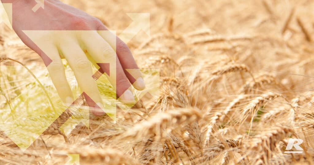 Growers shifted crop plantings